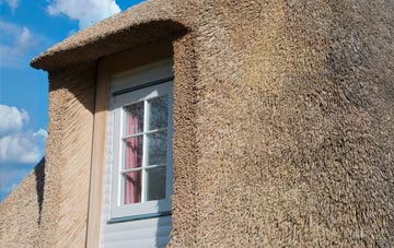 Fulready thatch roof disadvantages